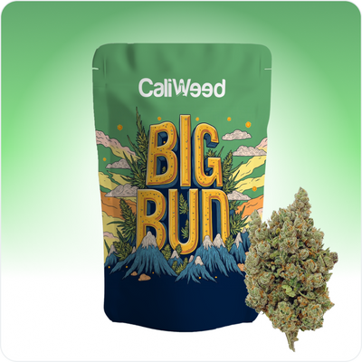 Big Bud CBD