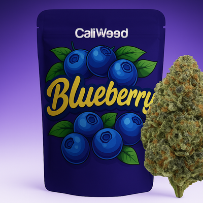 Blåbær CBD