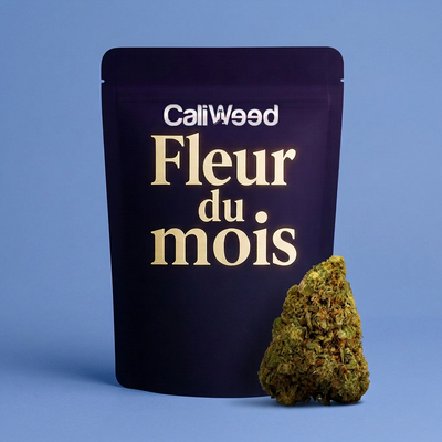 Månedens CBD-blomst